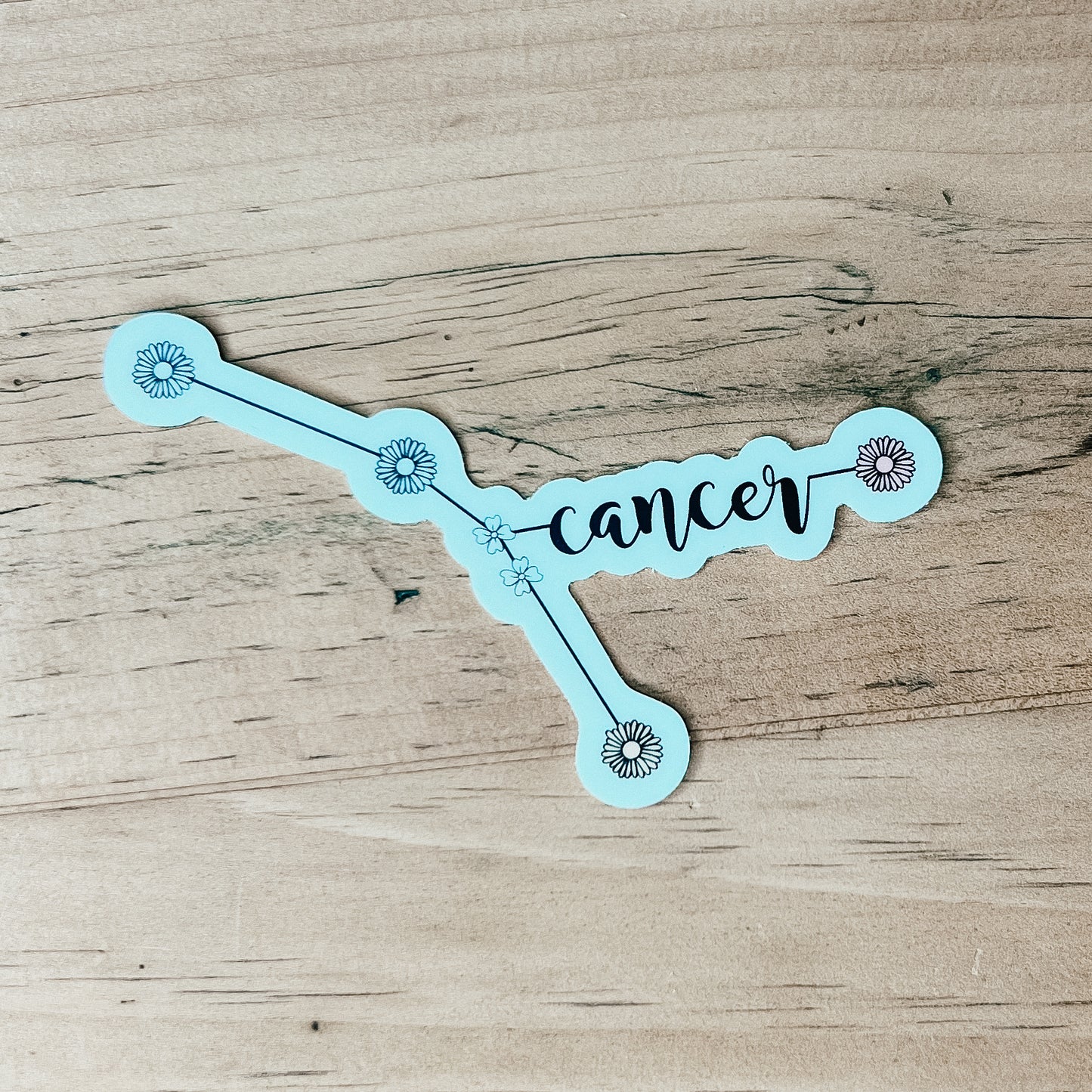 Floral Constellation Stickers