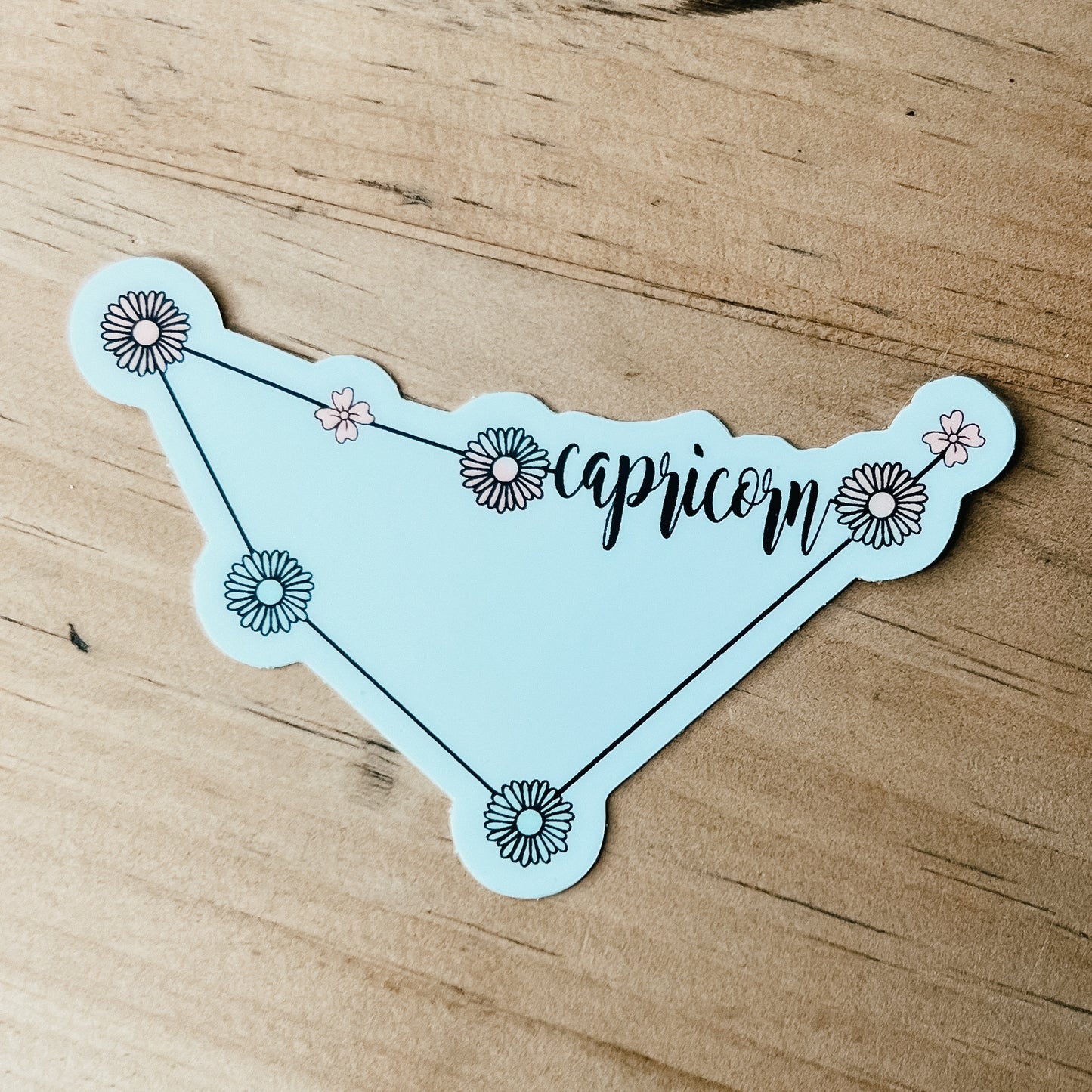 Floral Constellation Stickers
