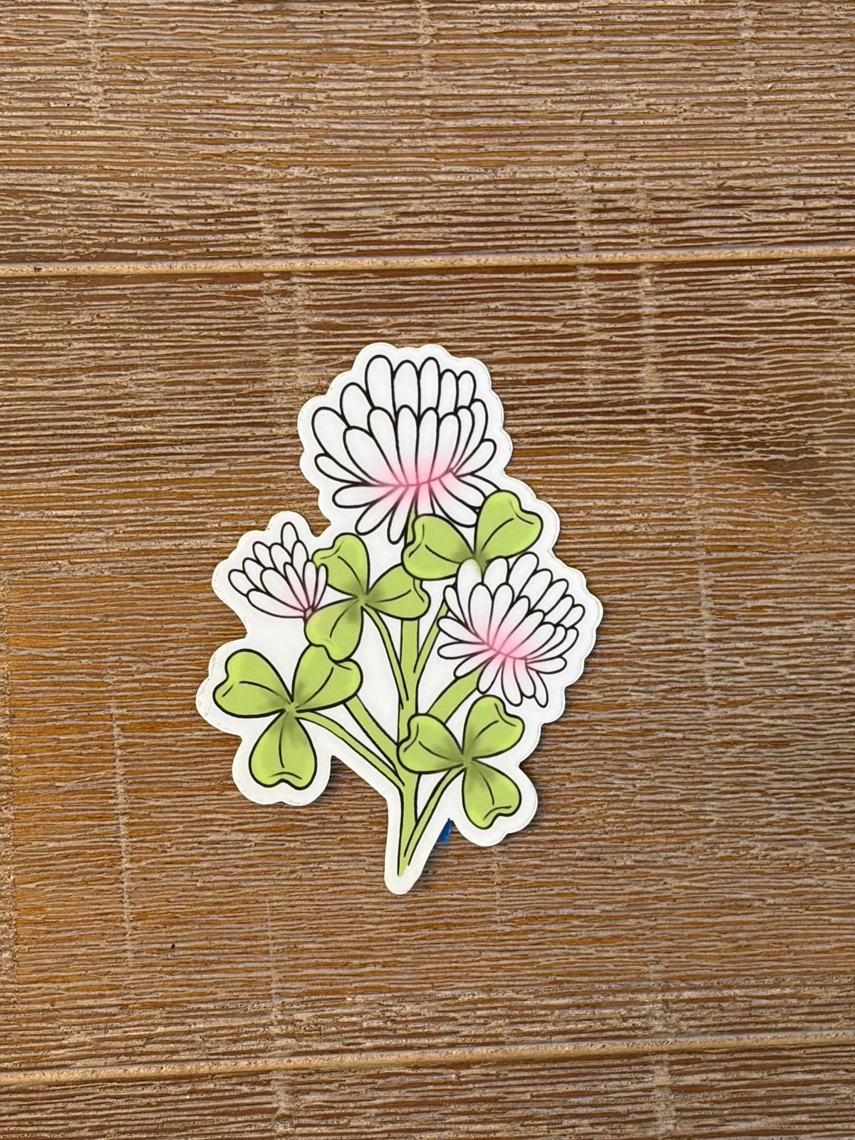 Clover Flowers