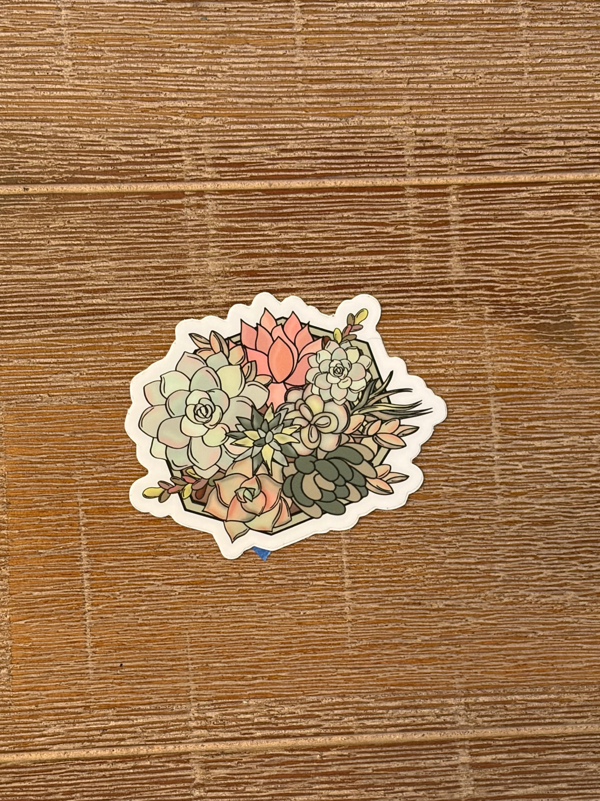 Succulent Bouquet